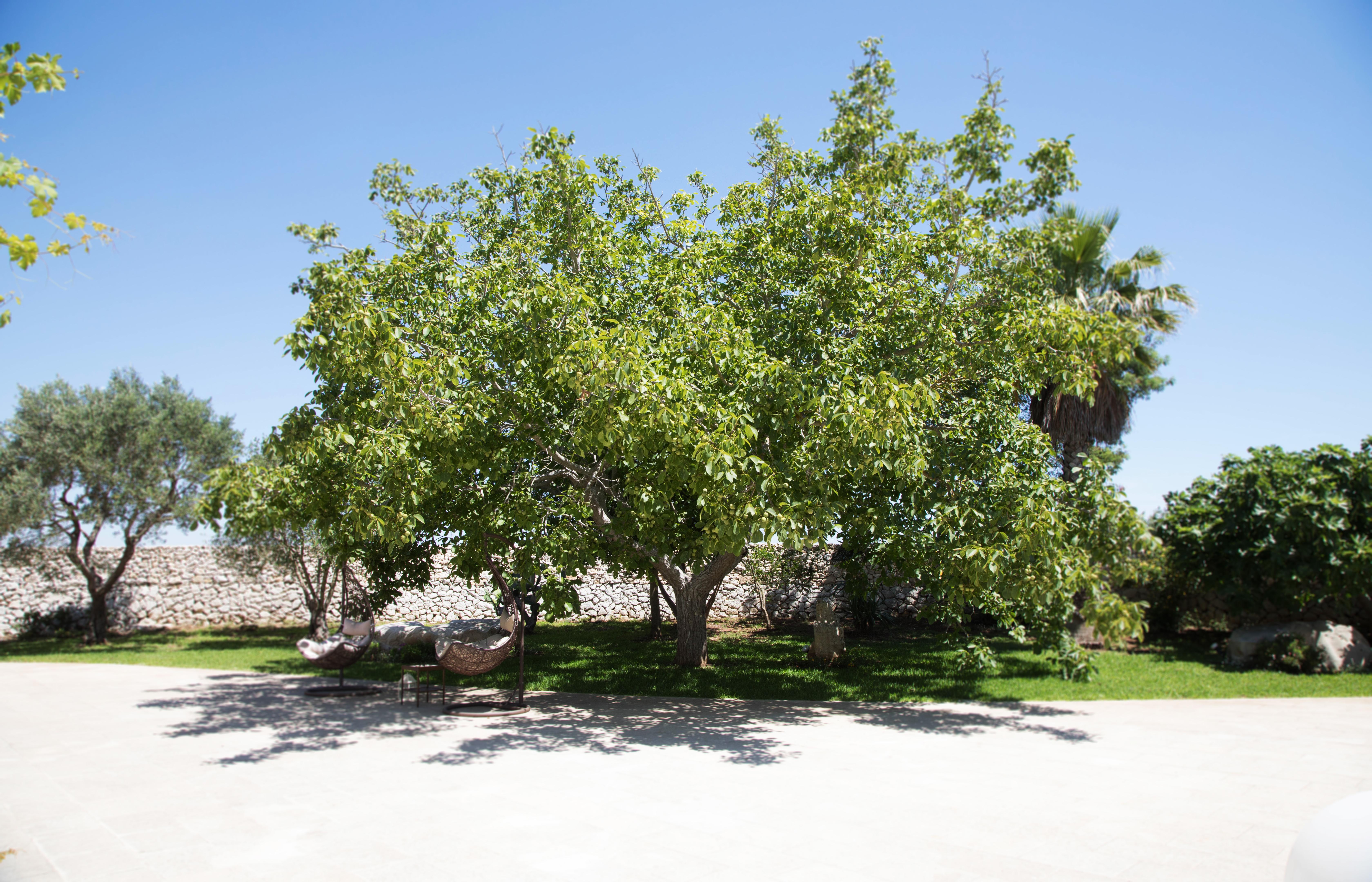 Don Agostino Relais Masseria Martano Exterior foto
